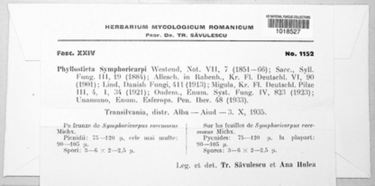 Ascochyta tenerrima image